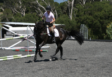 Equestrian1